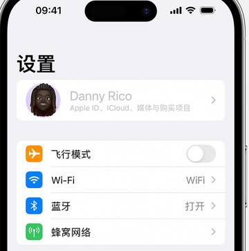 共青城appleID维修服务iPhone设置中Apple ID显示为灰色无法使用 