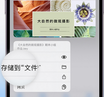 共青城apple维修中心分享iPhone文件应用中存储和找到下载文件