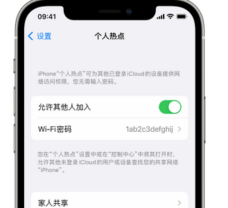 共青城apple服务站点分享iPhone上个人热点丢失了怎么办 