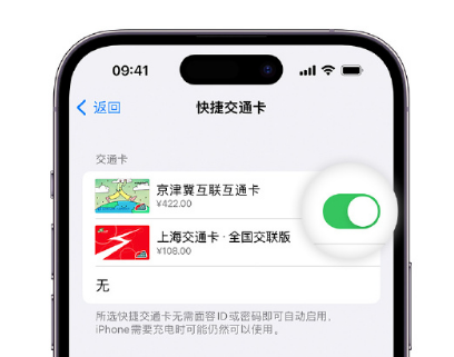 共青城apple维修点分享iPhone上更换Apple Pay快捷交通卡手绘卡面 