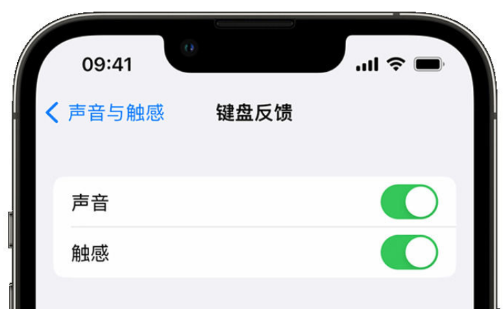 共青城苹果手机维修分享iPhone 14触感键盘使用方法 