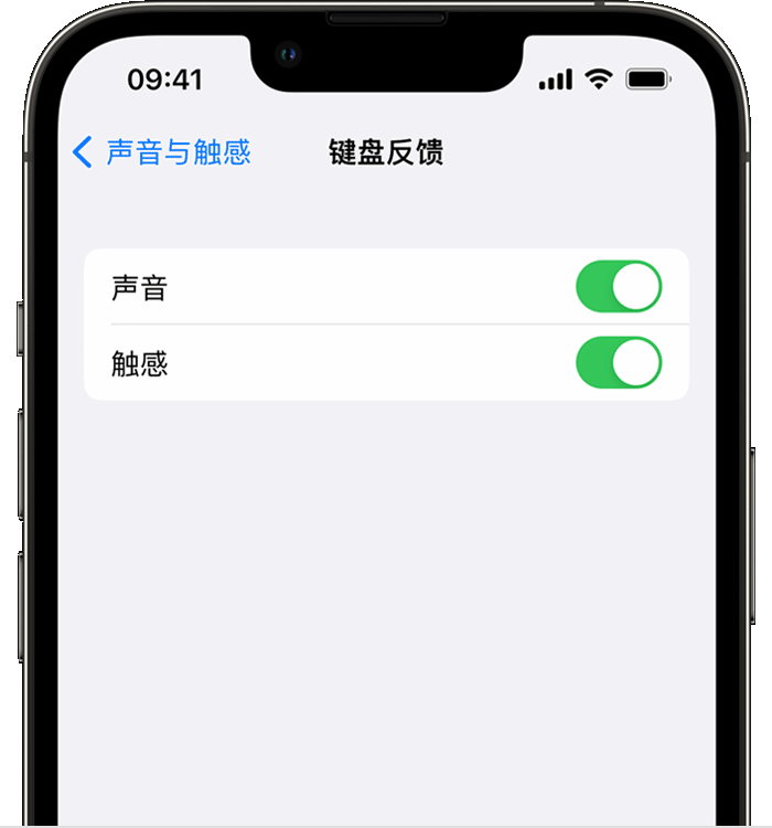 共青城苹果14维修店分享如何在 iPhone 14 机型中使用触感键盘 