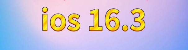 共青城苹果服务网点分享苹果iOS16.3升级反馈汇总 