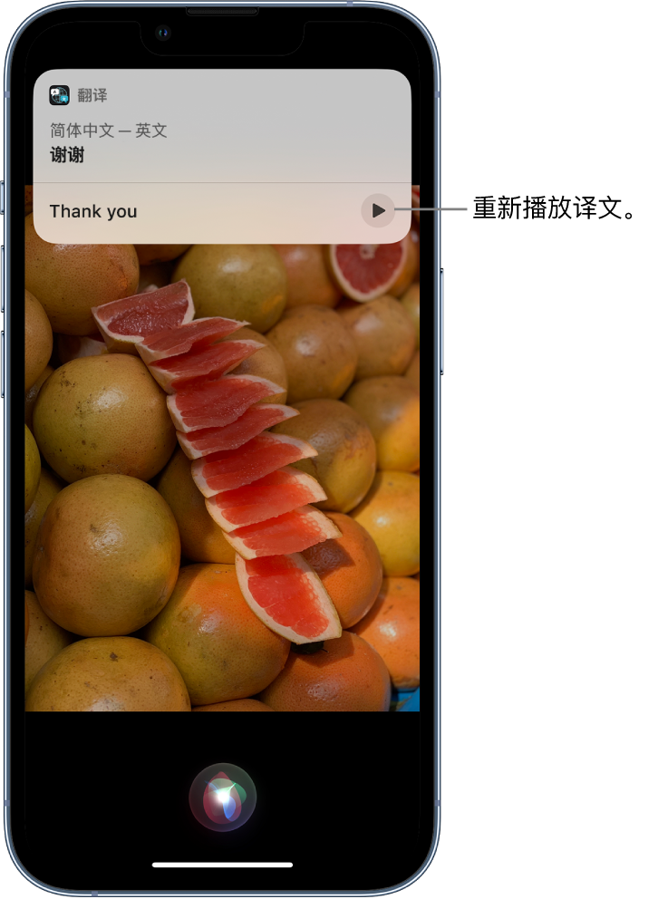 共青城苹果14维修分享 iPhone 14 机型中使用 Siri：了解 Siri 能帮你做什么 