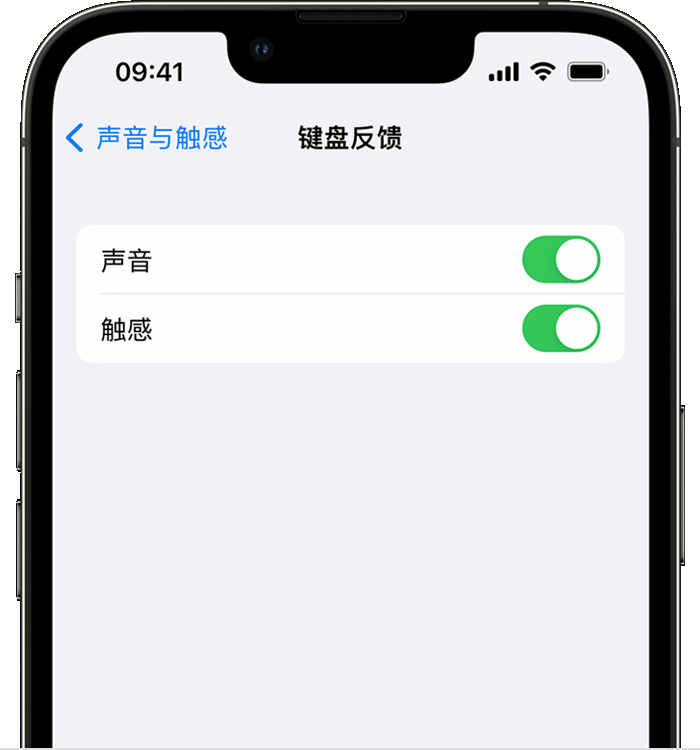 共青城苹果14维修分享iPhone 14 系列机型如何开启键盘声音或触感反馈 