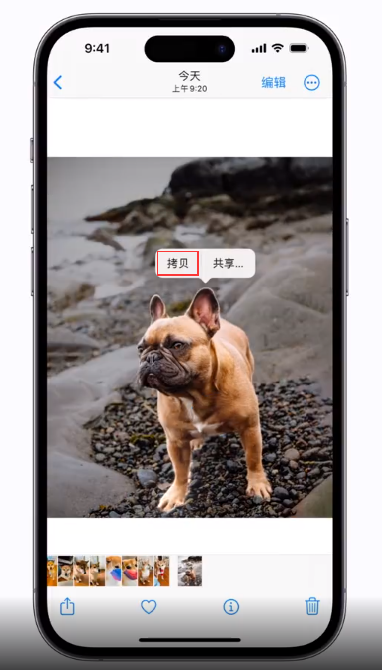 共青城苹果手机维修分享 iOS 16 自带一键抠图功能 