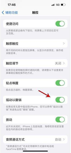 共青城苹果手机维修分享iPhone手机如何设置摇一摇删除文字 