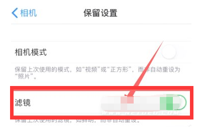共青城苹果13维修分享iPhone13拍照有绿点是怎么回事 