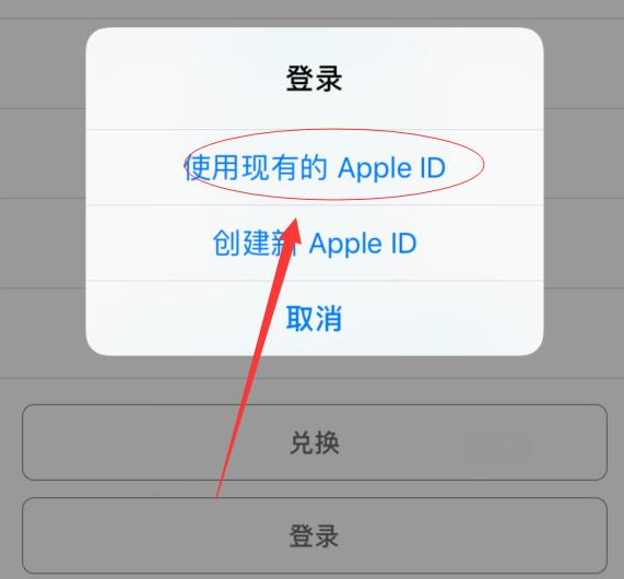 共青城苹果手机维修分享两台iPhone设备可以同时登录一个Apple ID吗 